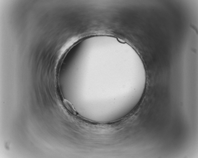 X0000102540008200808291852