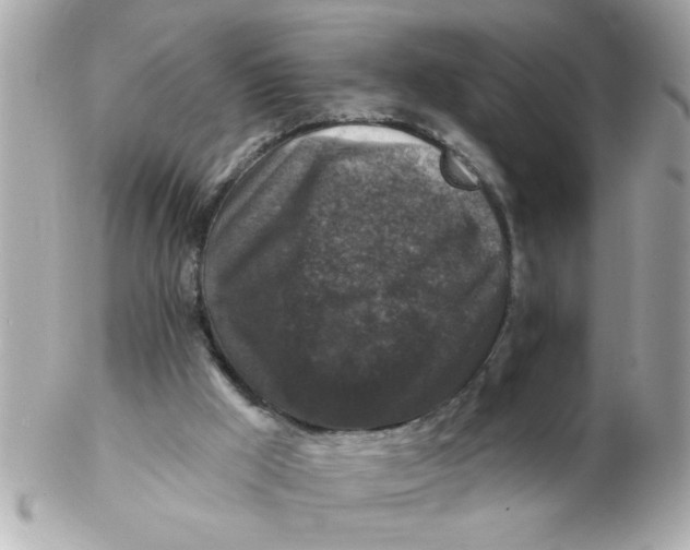 X0000102540009200808291852