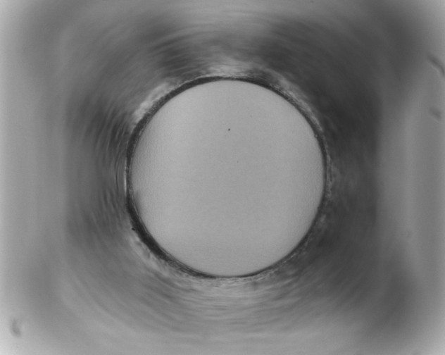 X0000102540011200808291852