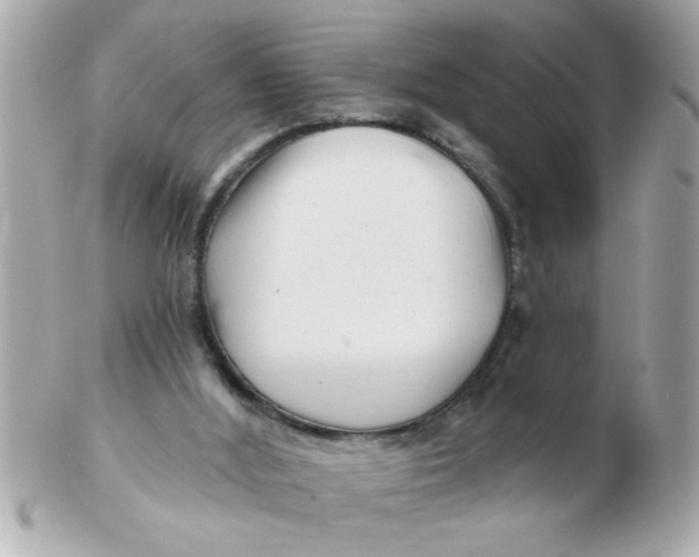 X0000102540012200808291852