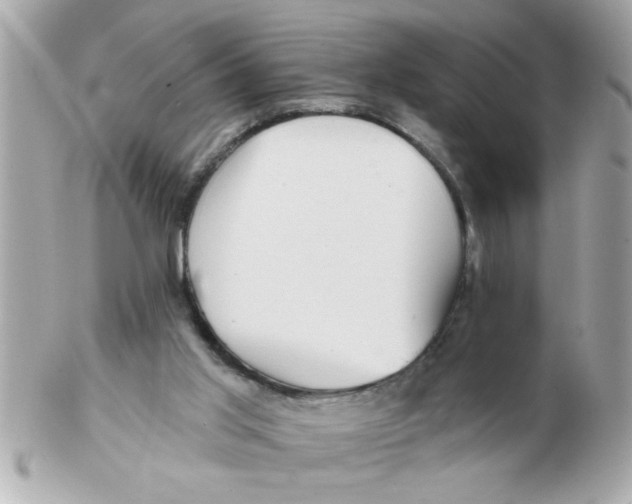 X0000102540013200808291852