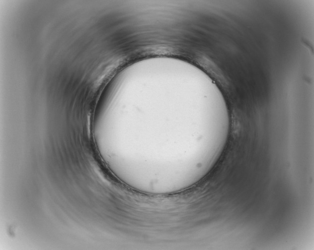 X0000102540014200808291852