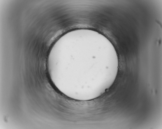 X0000102540015200808291852