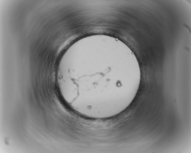 X0000102540016200808291852