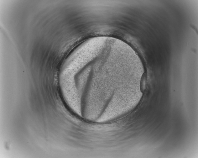 X0000102540017200808291852