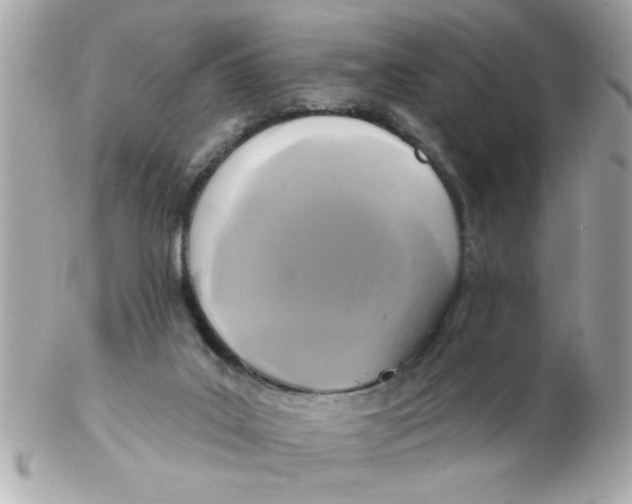 X0000102540019200808291852