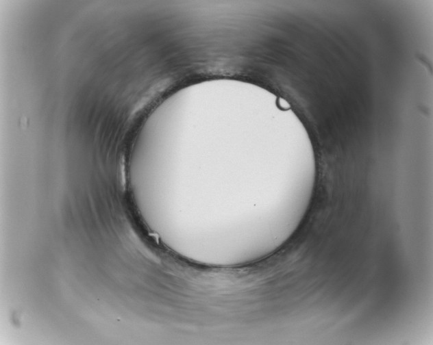 X0000102540020200808291852