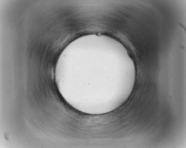 X0000102540021200808291852