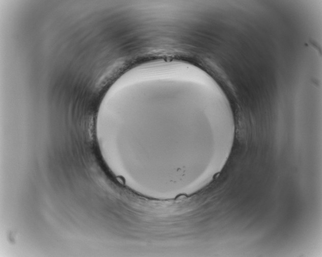 X0000102540023200808291852