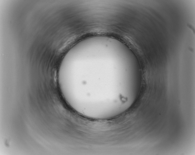 X0000102540024200808291852