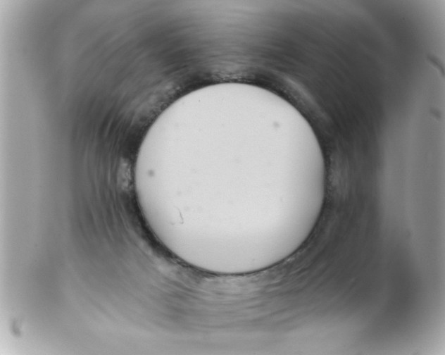 X0000102540025200808291852