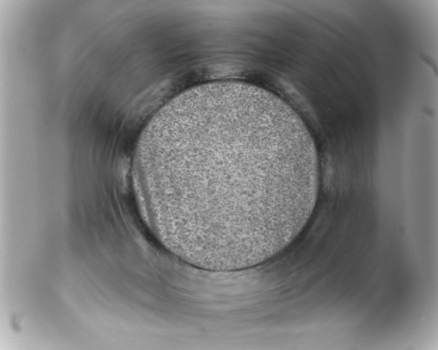 X0000102540026200808291852