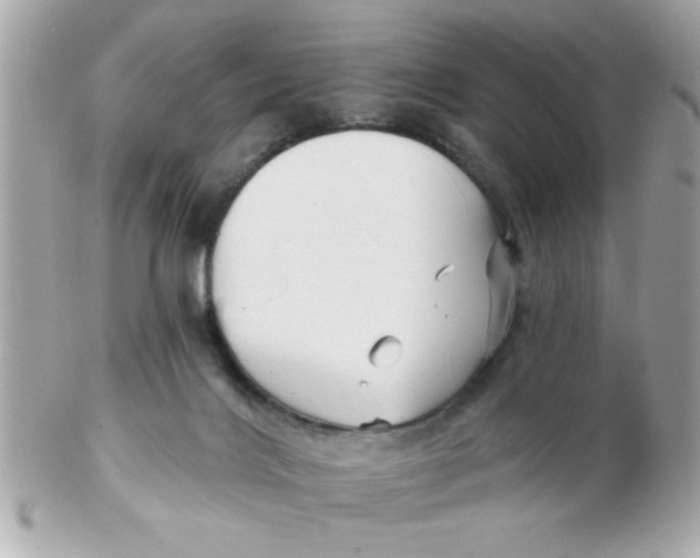 X0000102540028200808291852