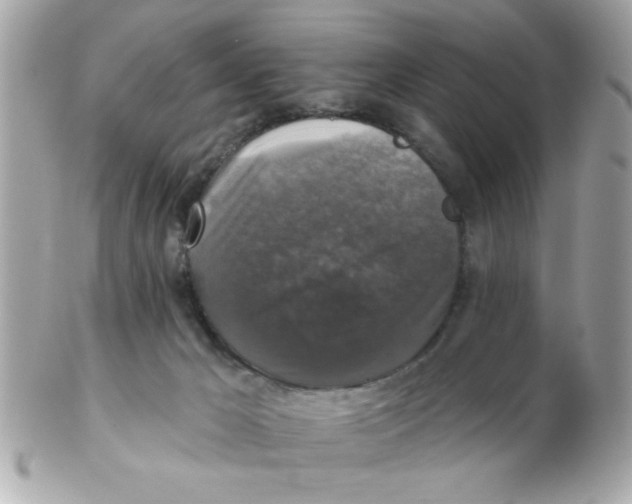 X0000102540029200808291852