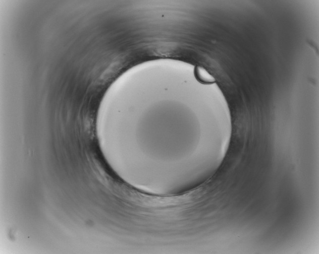 X0000102540031200808291852