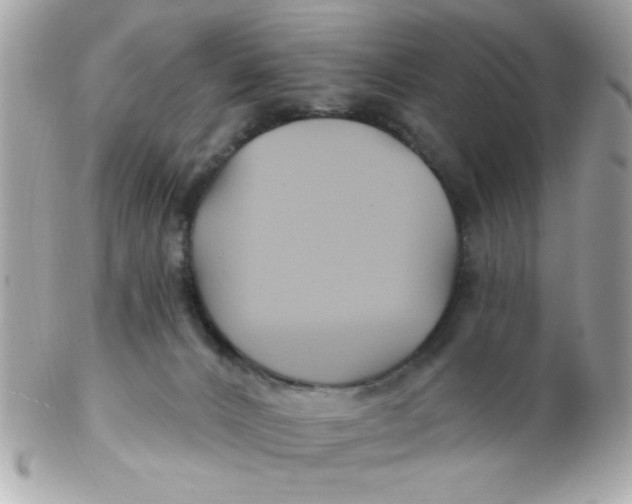 X0000102540032200808291852