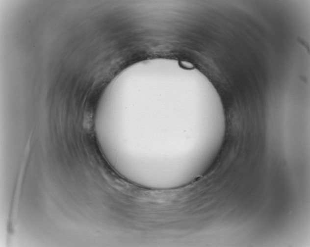 X0000102540033200808291852