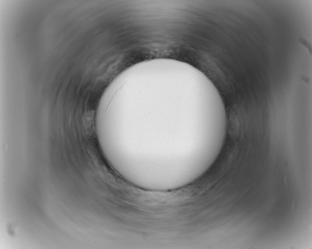 X0000102540034200808291852