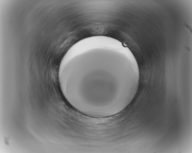 X0000102540035200808291852