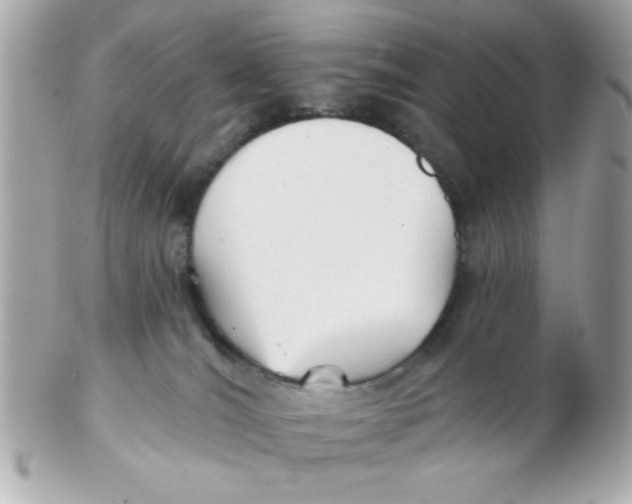 X0000102540036200808291851