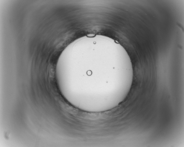 X0000102540037200808291851