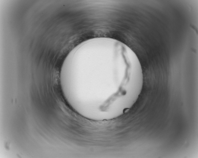 X0000102540038200808291851