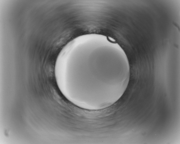 X0000102540039200808291851