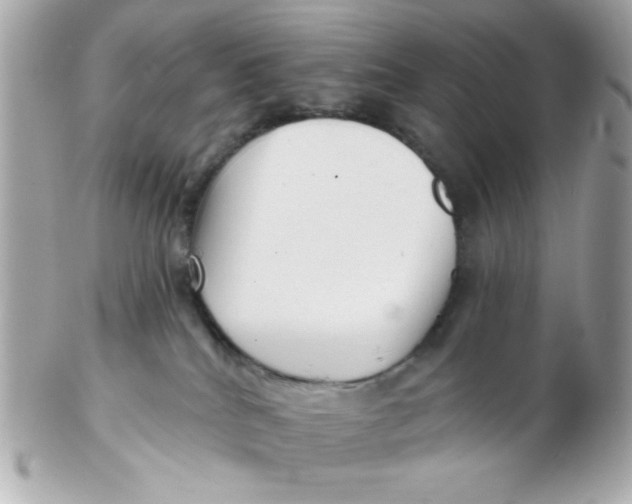 X0000102540040200808291851