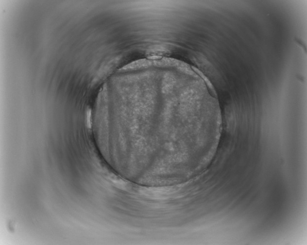 X0000102540041200808291851