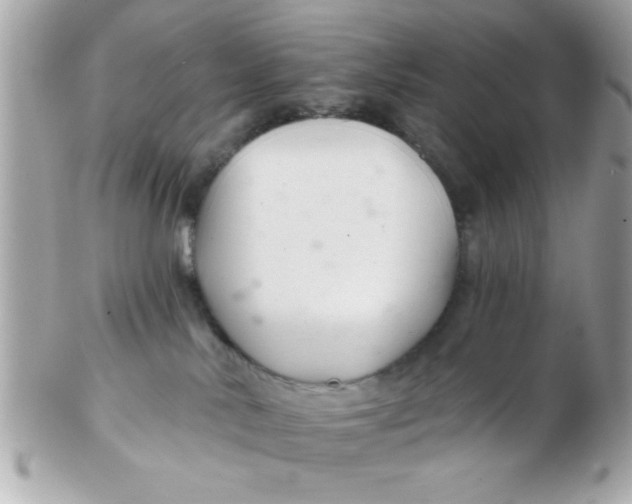 X0000102540042200808291851