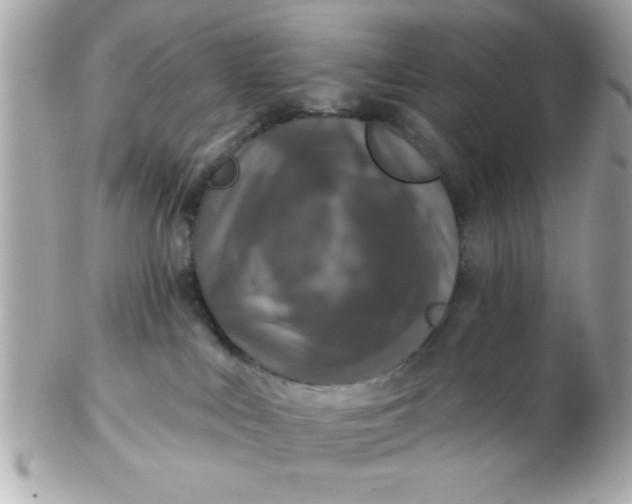 X0000102540043200808291851