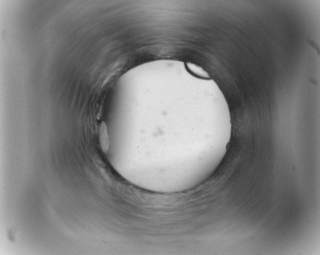 X0000102540044200808291851