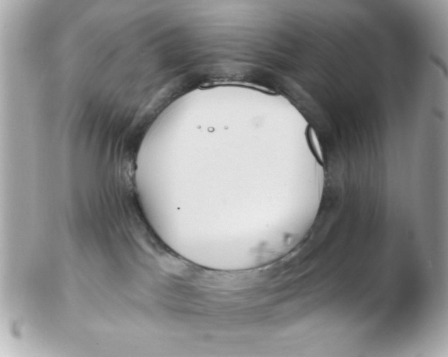 X0000102540045200808291851