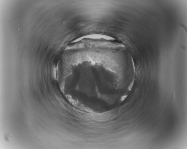 X0000102540046200808291851