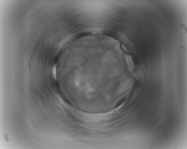 X0000102540047200808291851