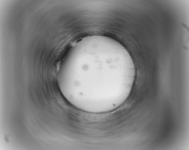 X0000102540048200808291851