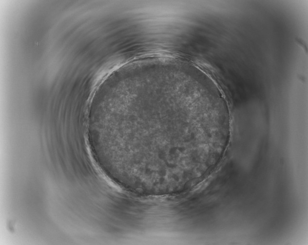 X0000102540049200808291851