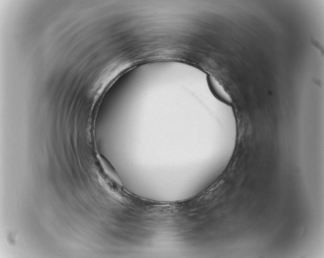 X0000102540050200808291851