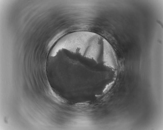 X0000102540051200808291851