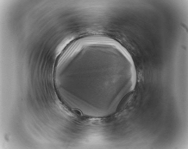 X0000102540052200808291851