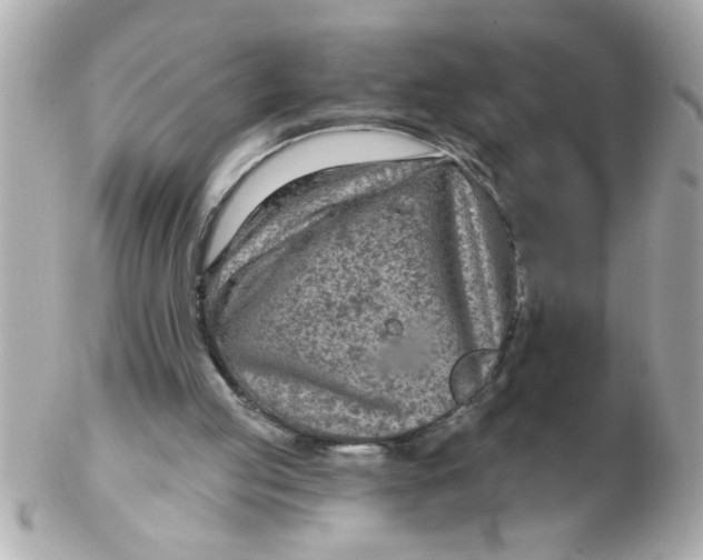 X0000102540053200808291851