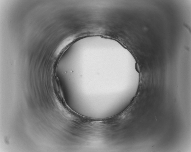 X0000102540054200808291851