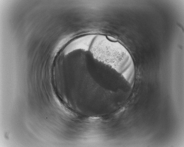 X0000102540055200808291851