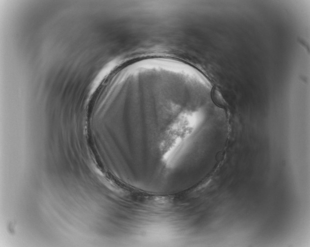 X0000102540056200808291851