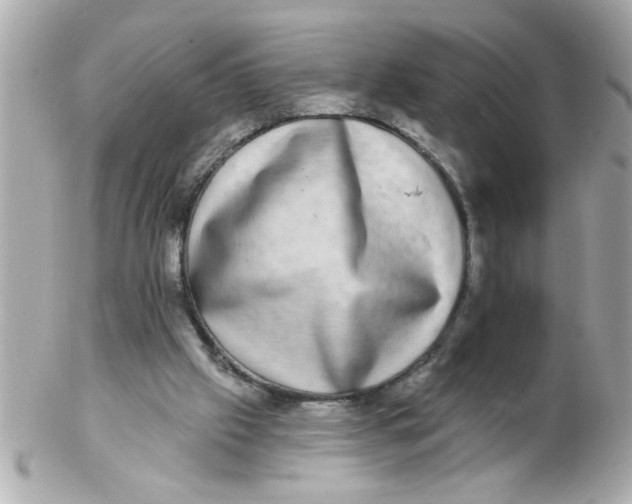 X0000102540057200808291851