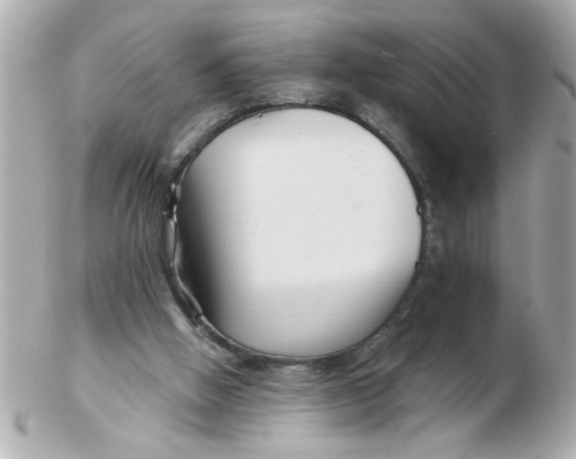 X0000102540058200808291851