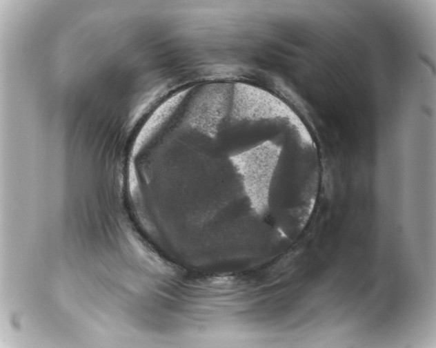 X0000102540059200808291851