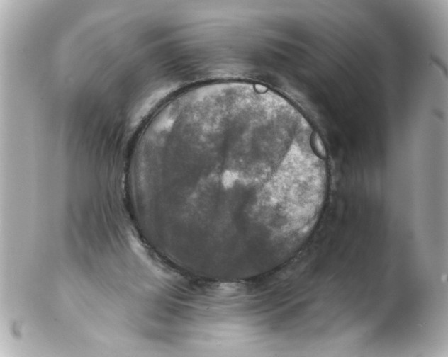 X0000102540060200808291851