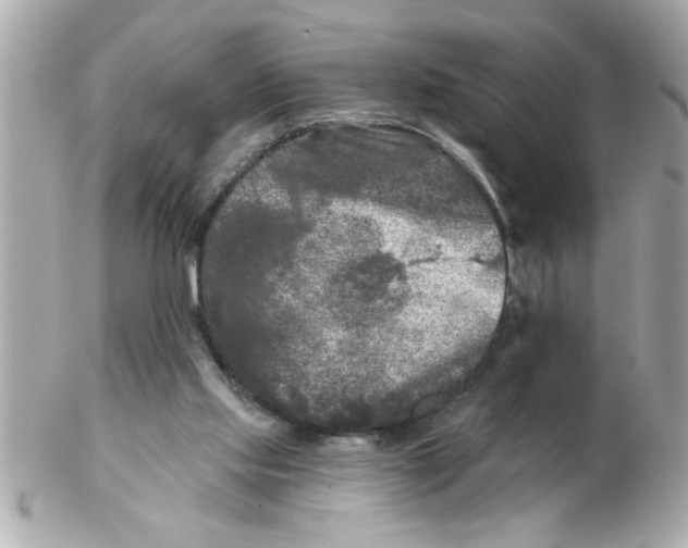 X0000102540061200808291851