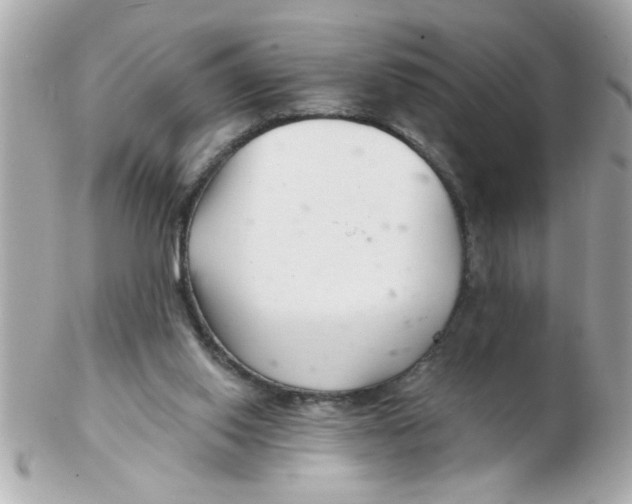 X0000102540062200808291851